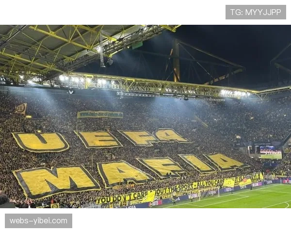 欧足联站席新规要求每平方米最多容纳4.7名观众，多特现行标准略高